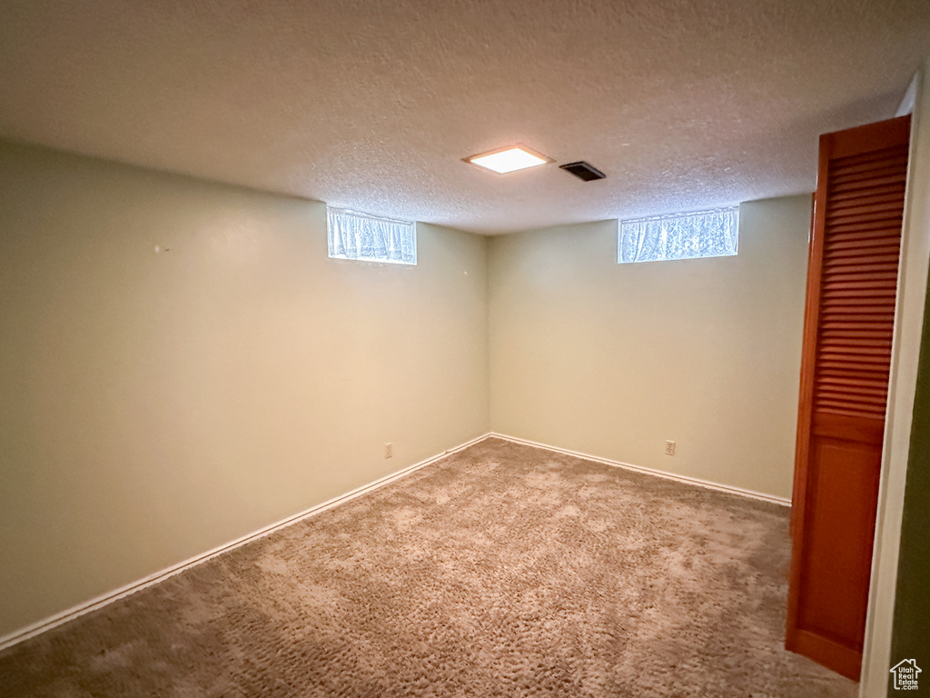 Basement with a textured ceiling, plenty of natural light, and carpet floors