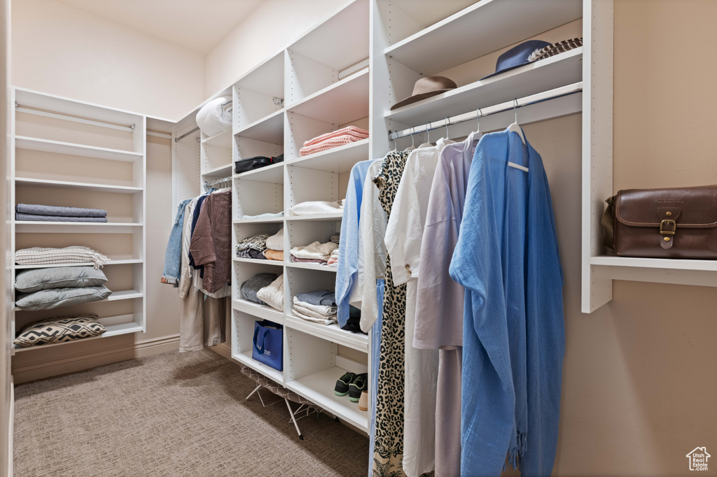 Walk in closet featuring carpet flooring