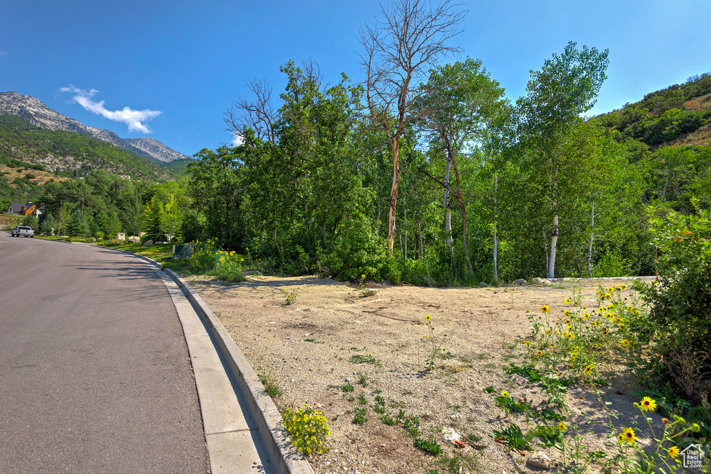 View of road featuring a mountain view