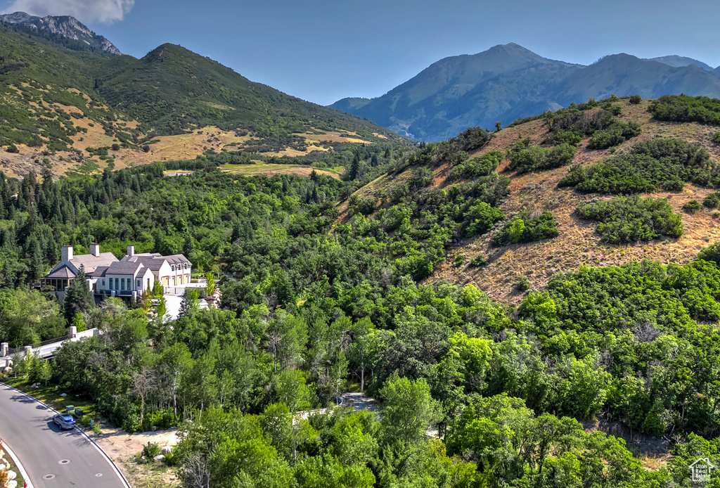 View of mountain feature