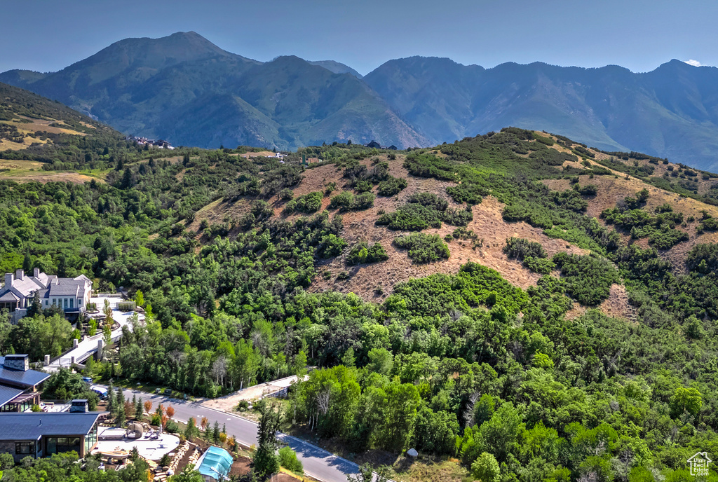 Property view of mountains