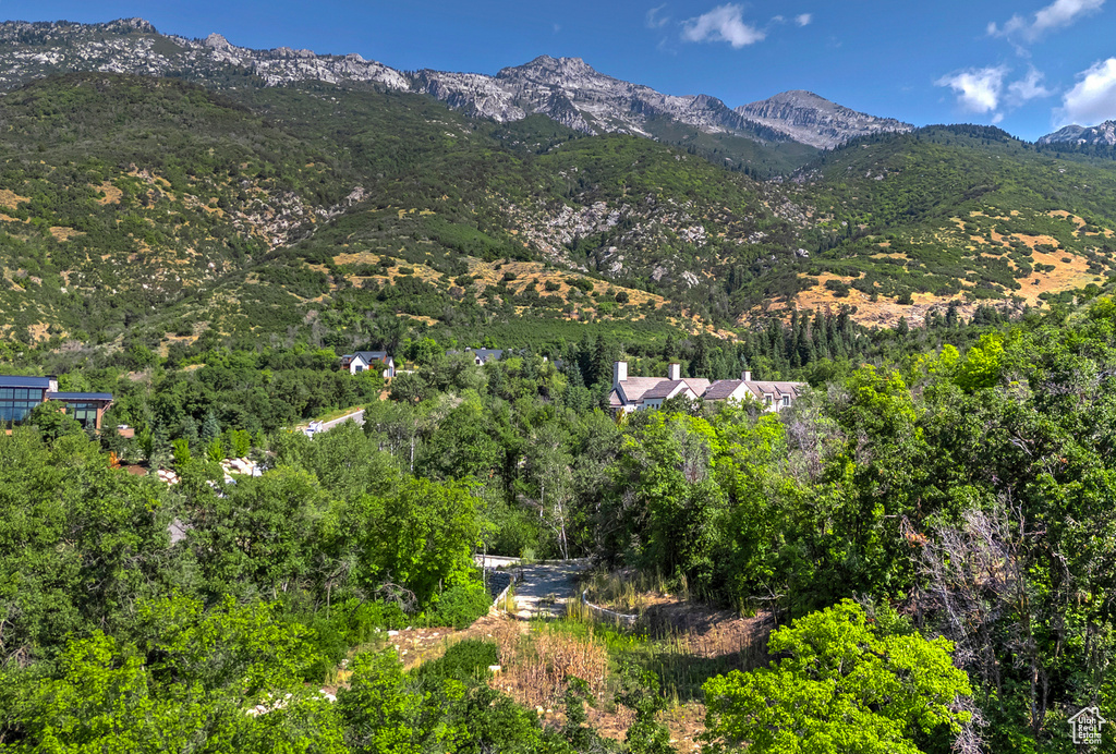 Property view of mountains