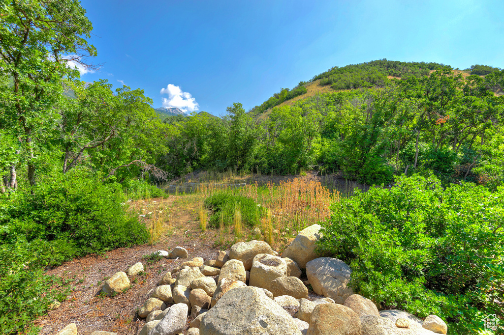 View of yard with a mountain view