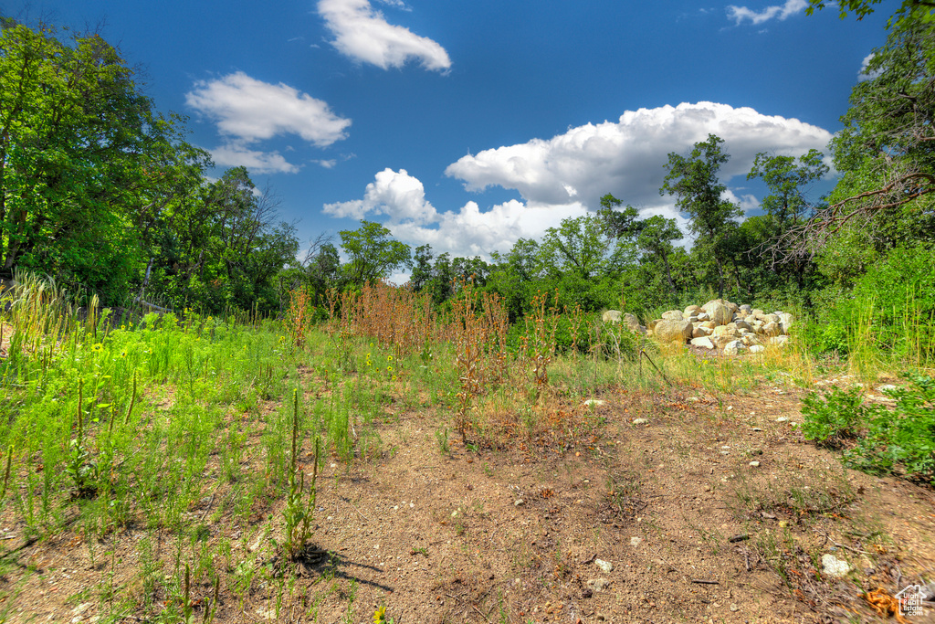 View of nature