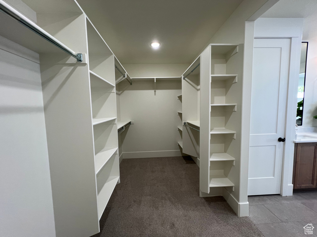 Spacious closet featuring carpet flooring