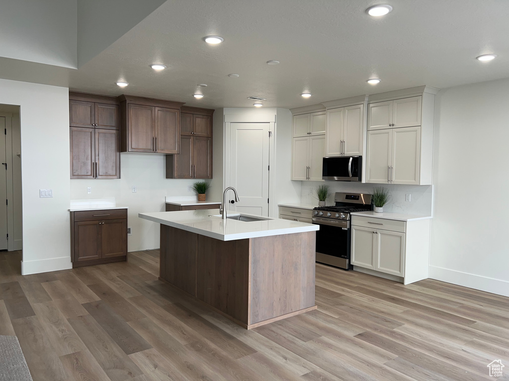 Kitchen with a sink, baseboards, light wood finished floors, stainless steel appliances, and an island with sink