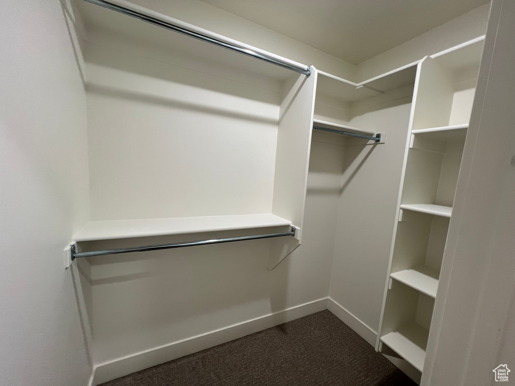 Spacious closet with dark carpet