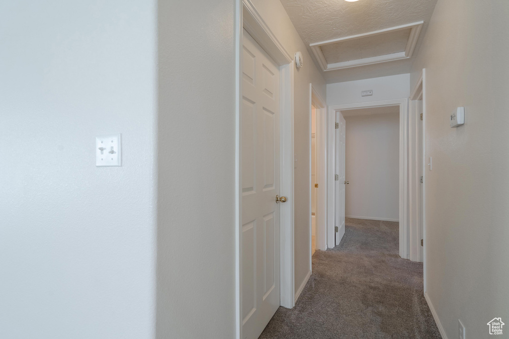 Hallway with a textured ceiling and carpet flooring