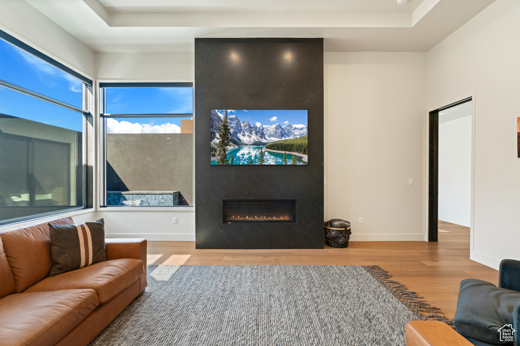 Living room featuring a fireplace and hardwood / wood-style floors