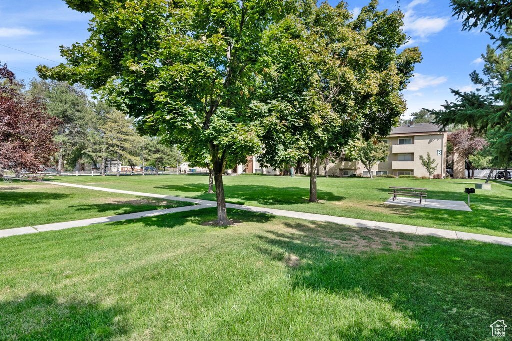 View of property's community featuring a yard