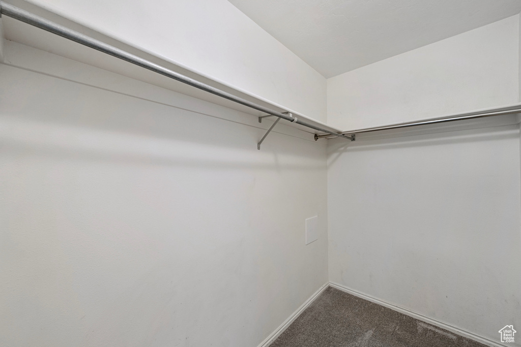 Spacious closet with carpet