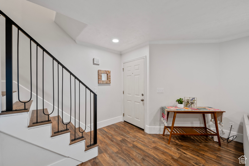 Entryway with dark wood-type flooring and ornamental molding