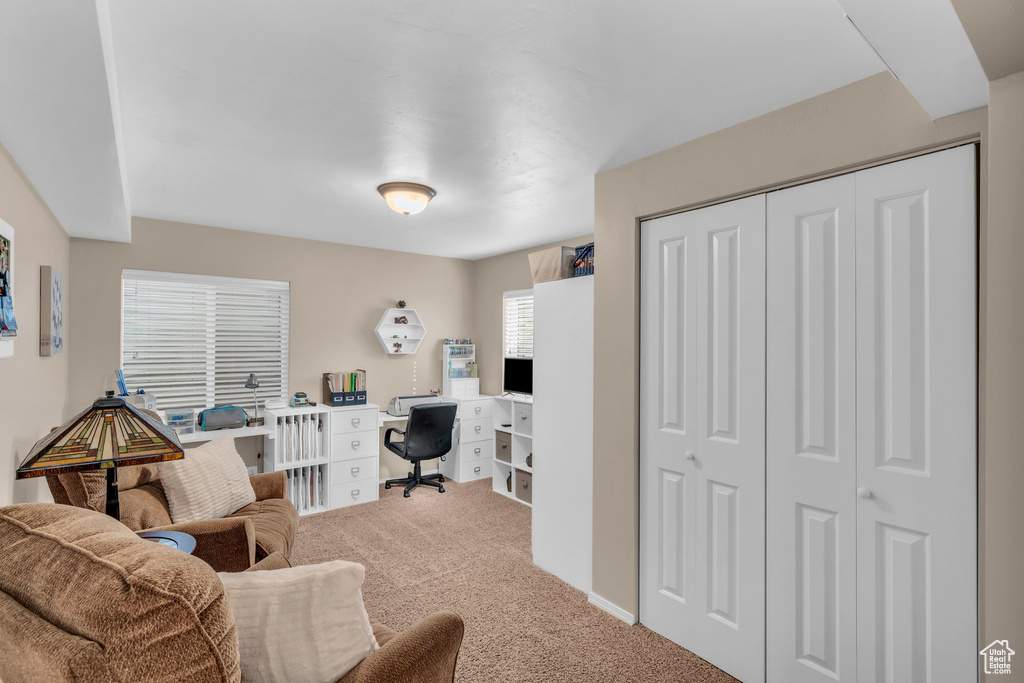 Office area with carpet floors