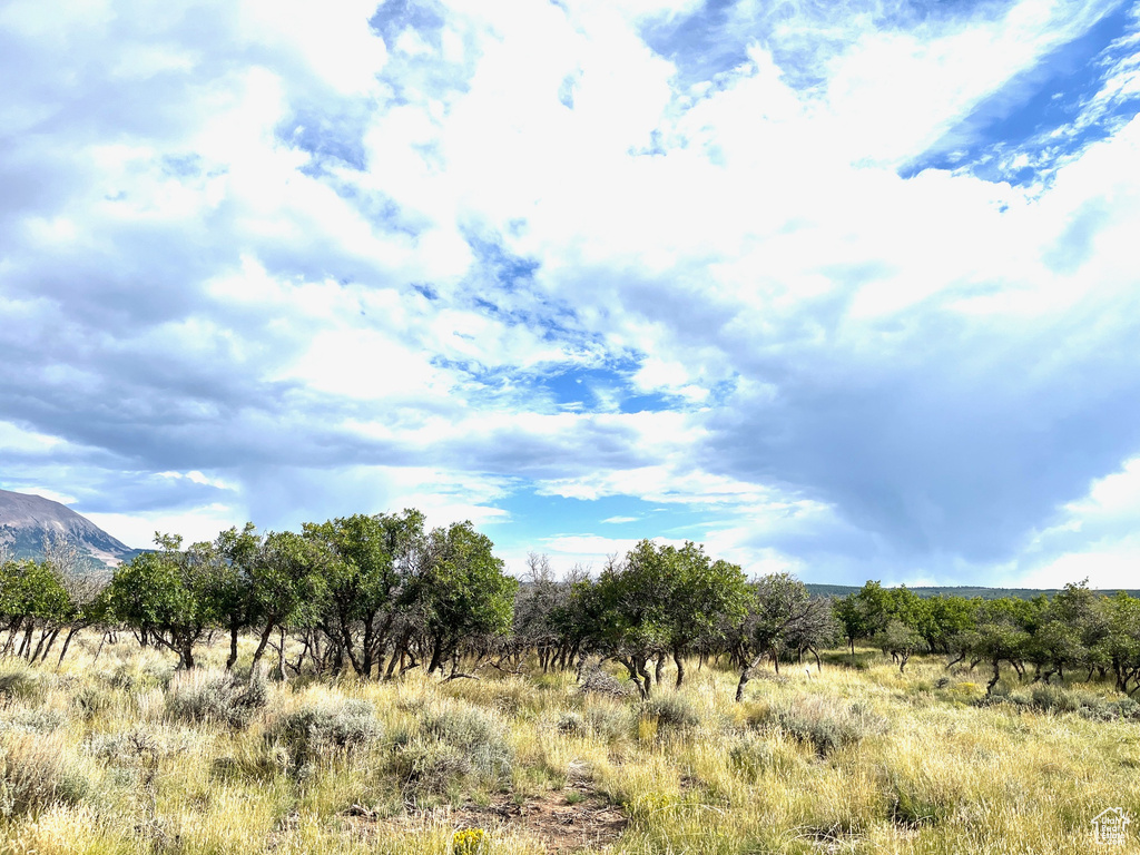 View of nature featuring a rural view