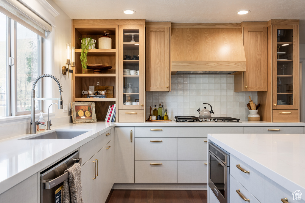 Kitchen featuring custom exhaust hood, stainless steel appliances, sink, dark hardwood / wood-style floors, and white cabinets