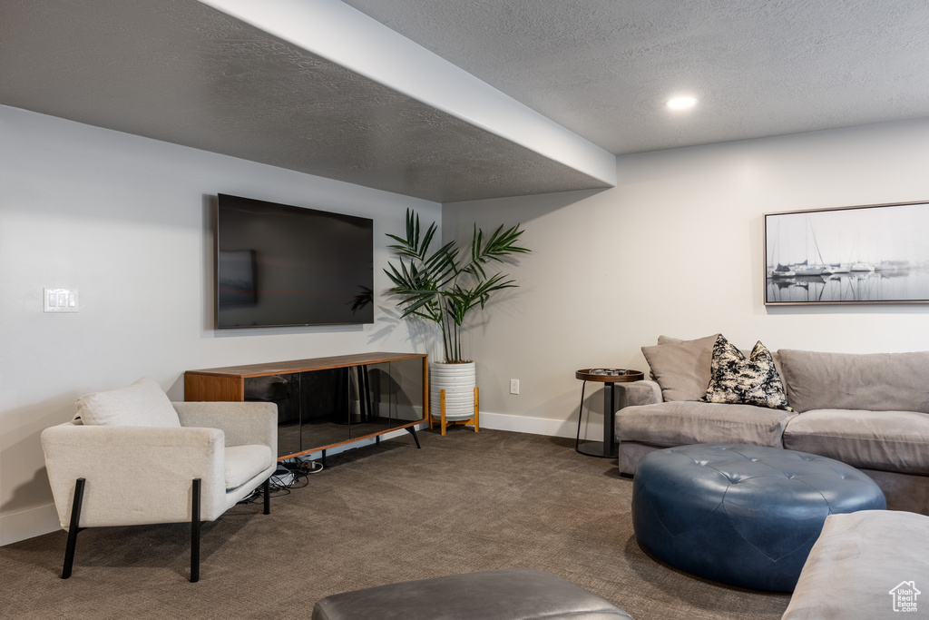 Carpeted living room featuring a textured ceiling