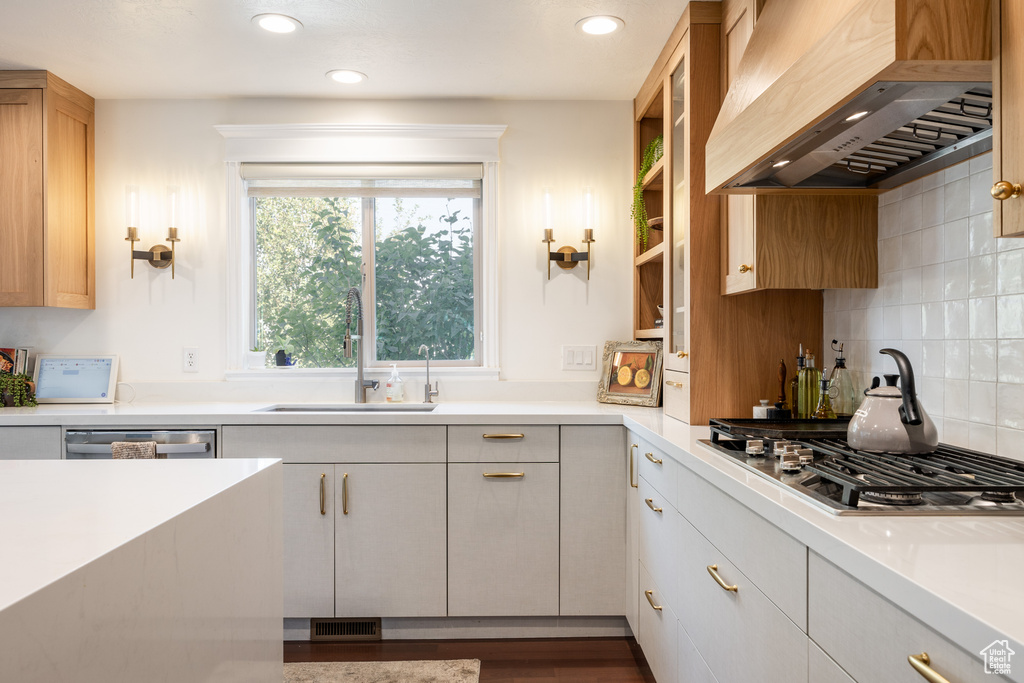 Kitchen with premium range hood, dark wood-type flooring, sink, decorative backsplash, and appliances with stainless steel finishes