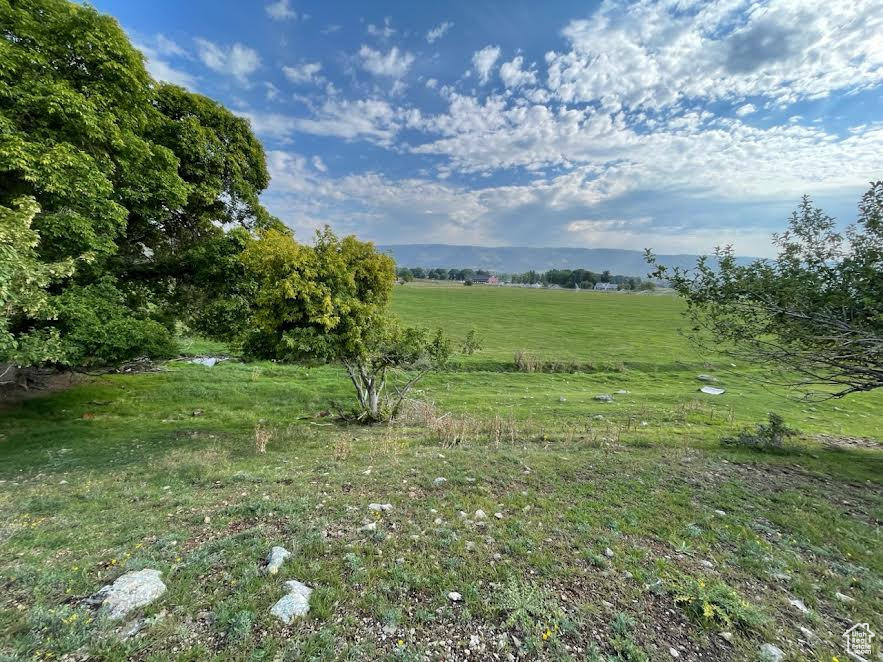 View of yard with a rural view