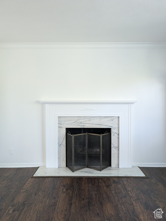 Room details featuring wood-type flooring, ornamental molding, and a high end fireplace