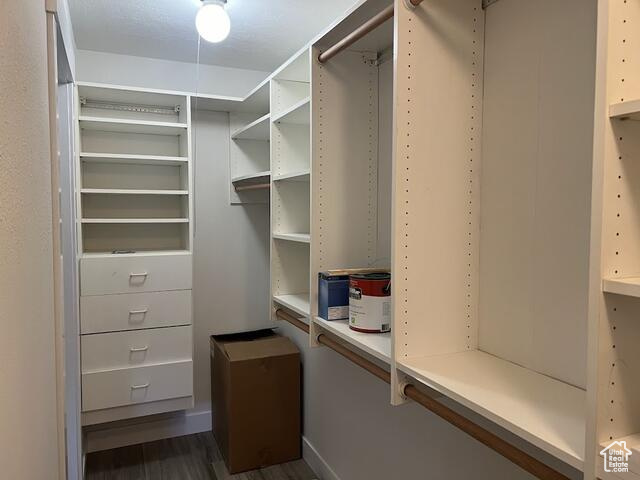 Spacious closet featuring hardwood / wood-style floors