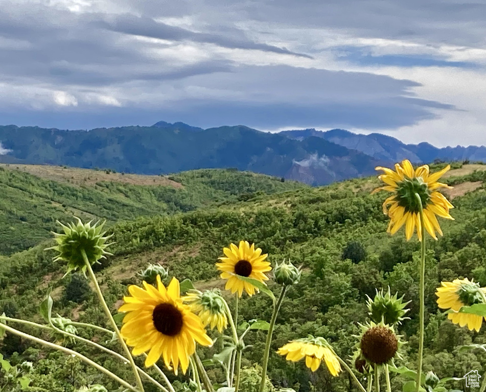 Property view of mountains