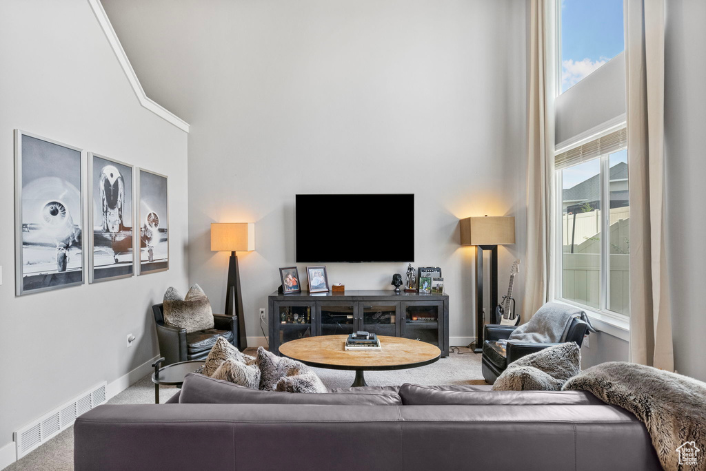 Carpeted living room with a towering ceiling