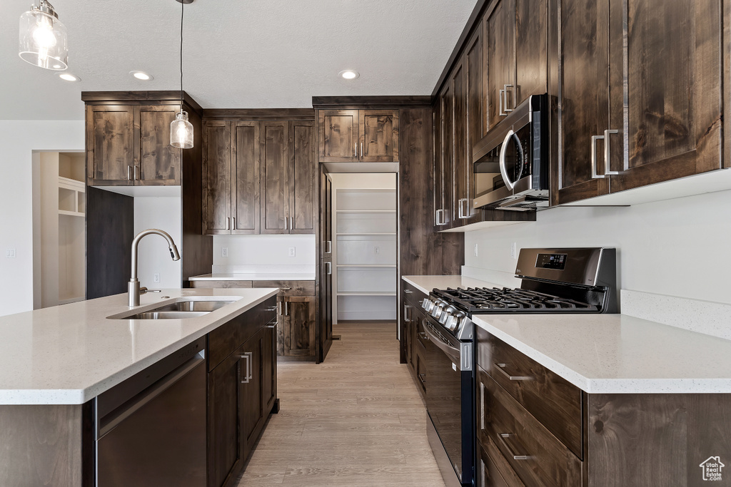 Kitchen with light hardwood / wood-style flooring, decorative light fixtures, stainless steel appliances, sink, and dark brown cabinets