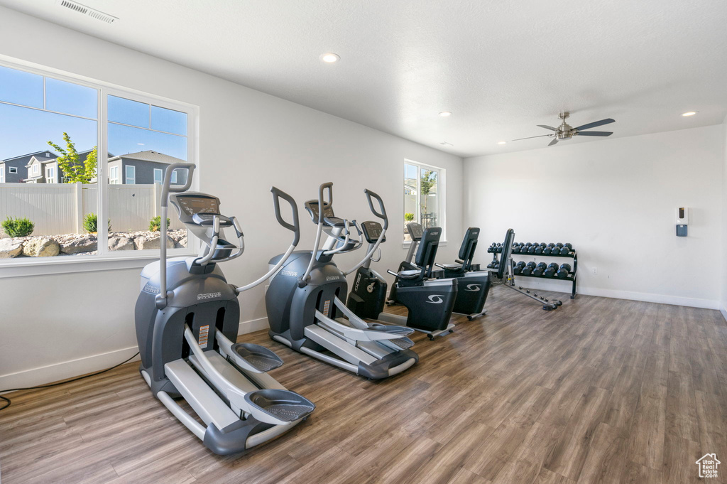 Workout area featuring hardwood / wood-style flooring and ceiling fan