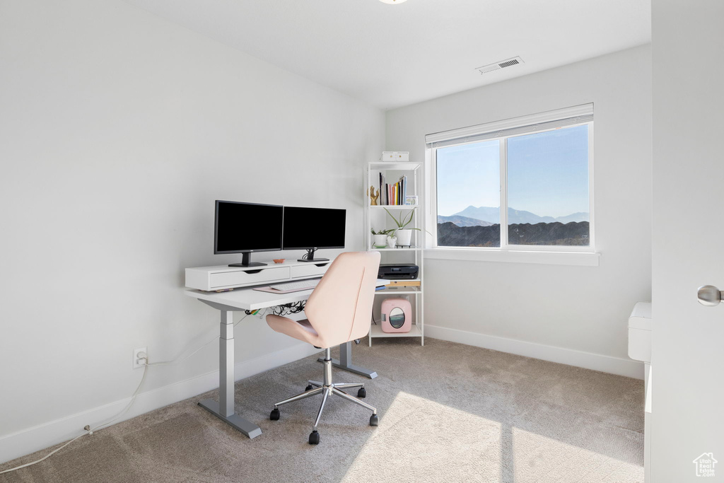 Office space featuring carpet flooring