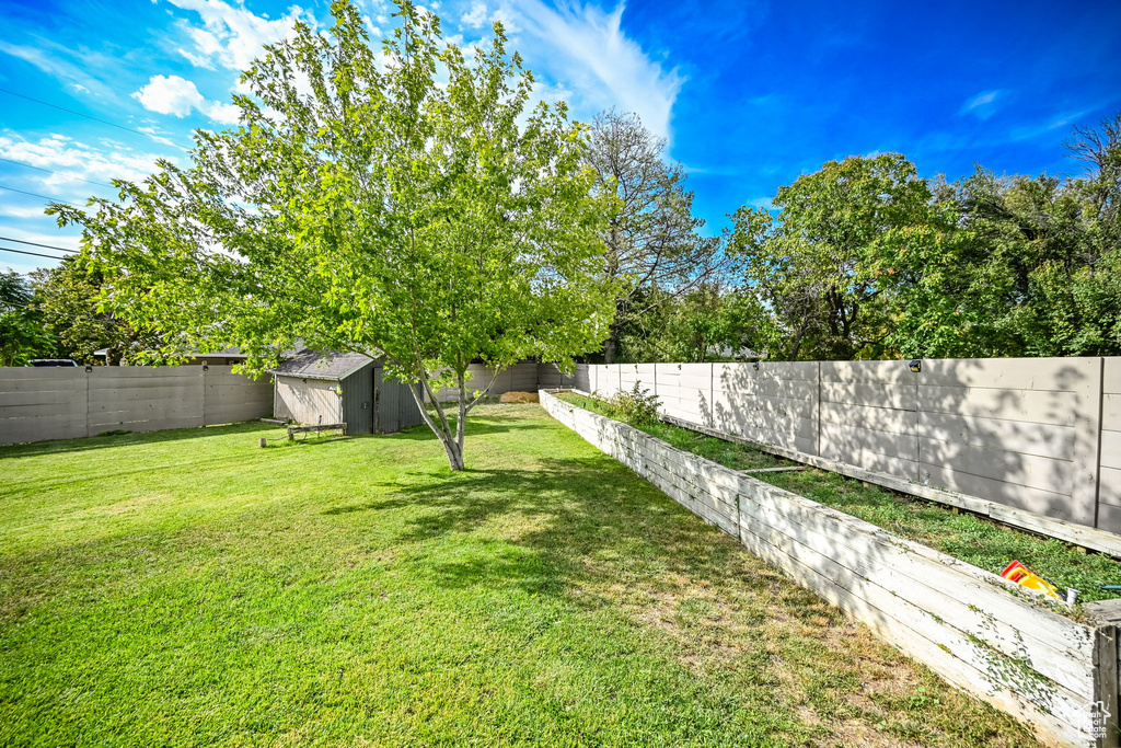 View of yard with a storage shed