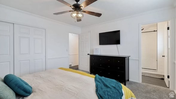 Bedroom featuring carpet, ceiling fan, connected bathroom, and ornamental molding