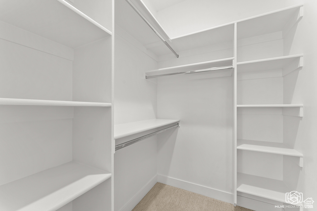 Spacious closet with light carpet