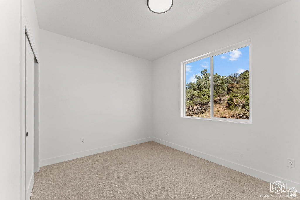 Unfurnished bedroom featuring light carpet