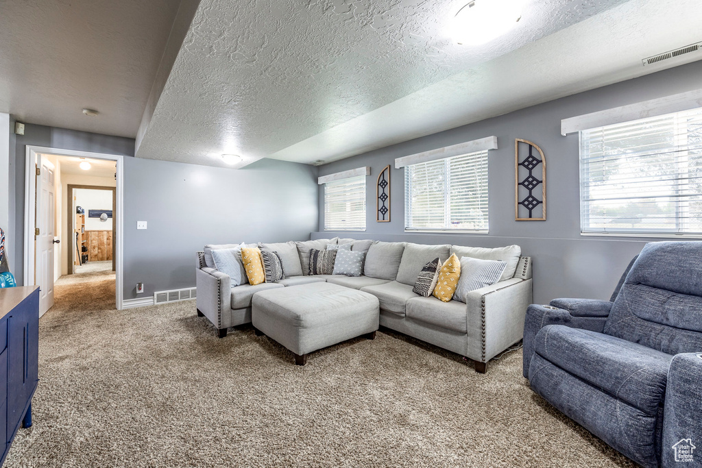 Carpeted living room with a textured ceiling