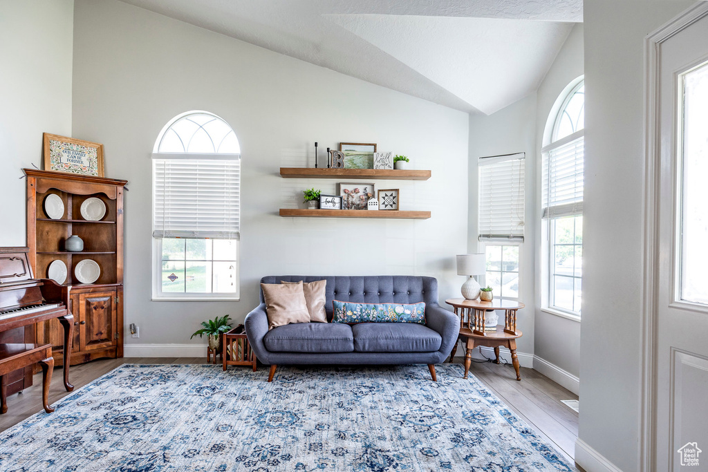 Living room with light wood-type flooring, lofted ceiling, and a healthy amount of sunlight