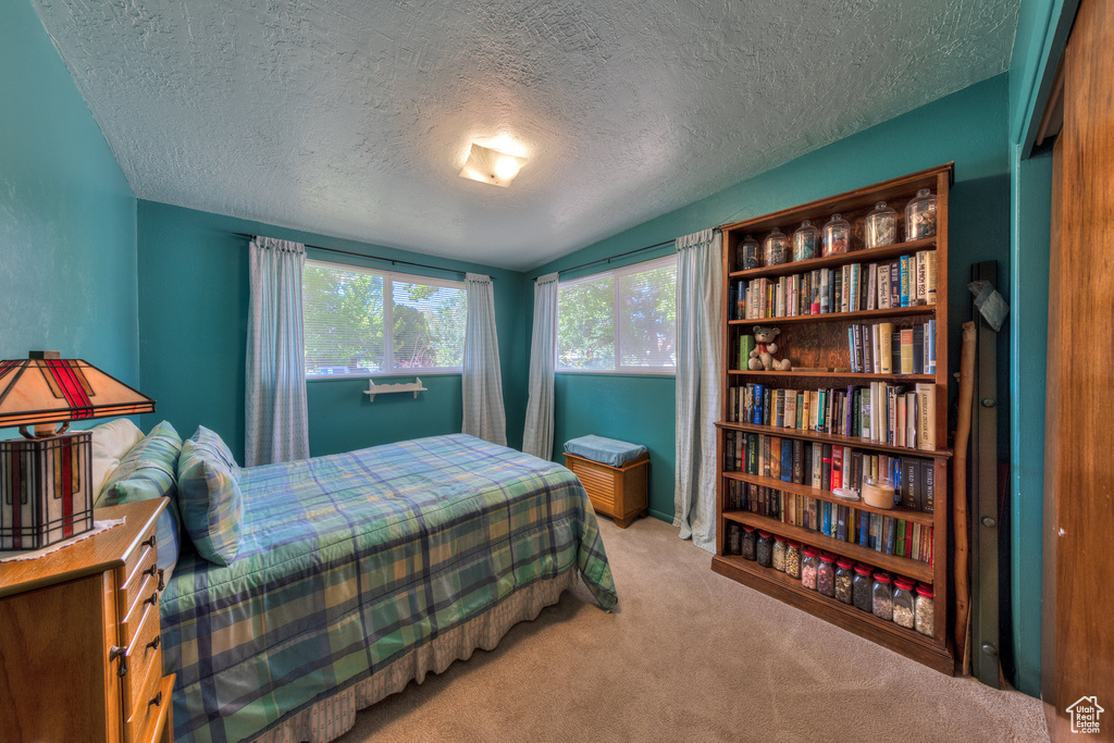 Bedroom featuring a textured ceiling, lofted ceiling, and carpet