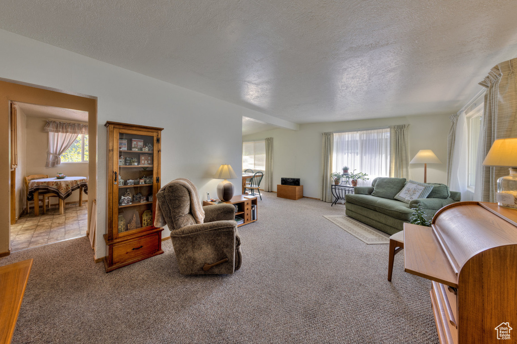 Living room featuring carpet, lofted ceiling, and a healthy amount of sunlight