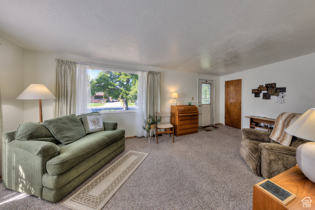 Carpeted living room featuring a textured ceiling
