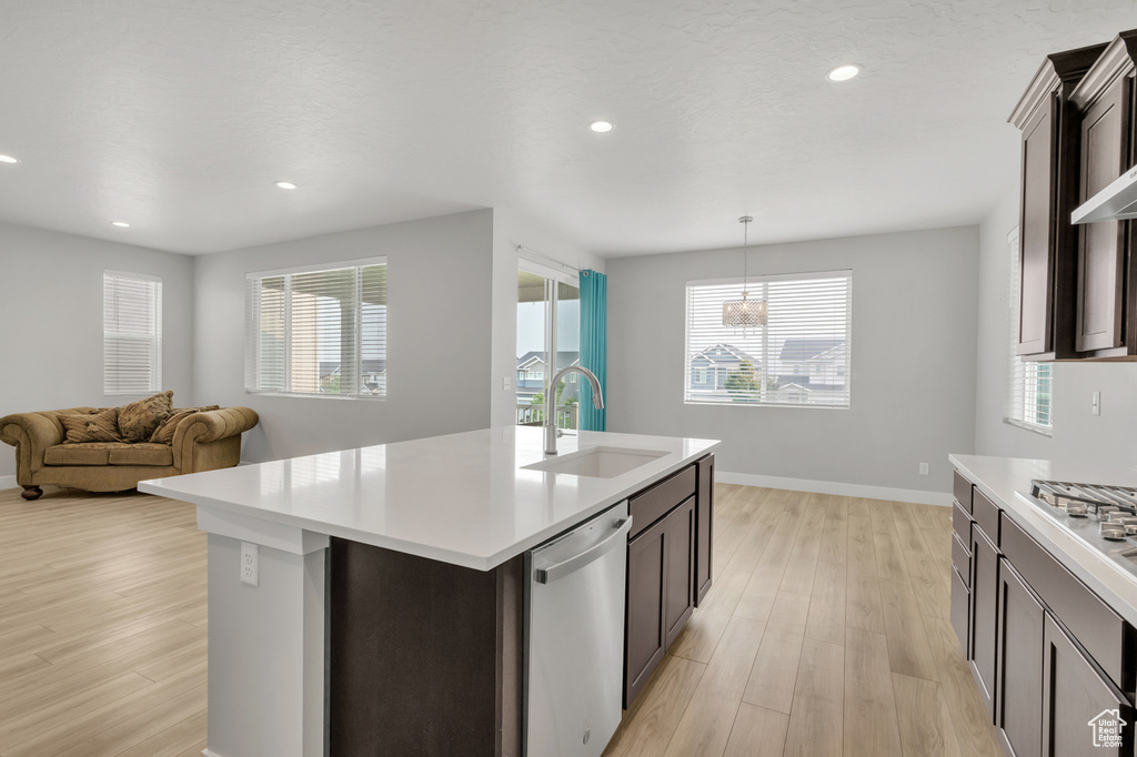 Kitchen with a wealth of natural light, stainless steel appliances, light hardwood / wood-style floors, and a kitchen island with sink