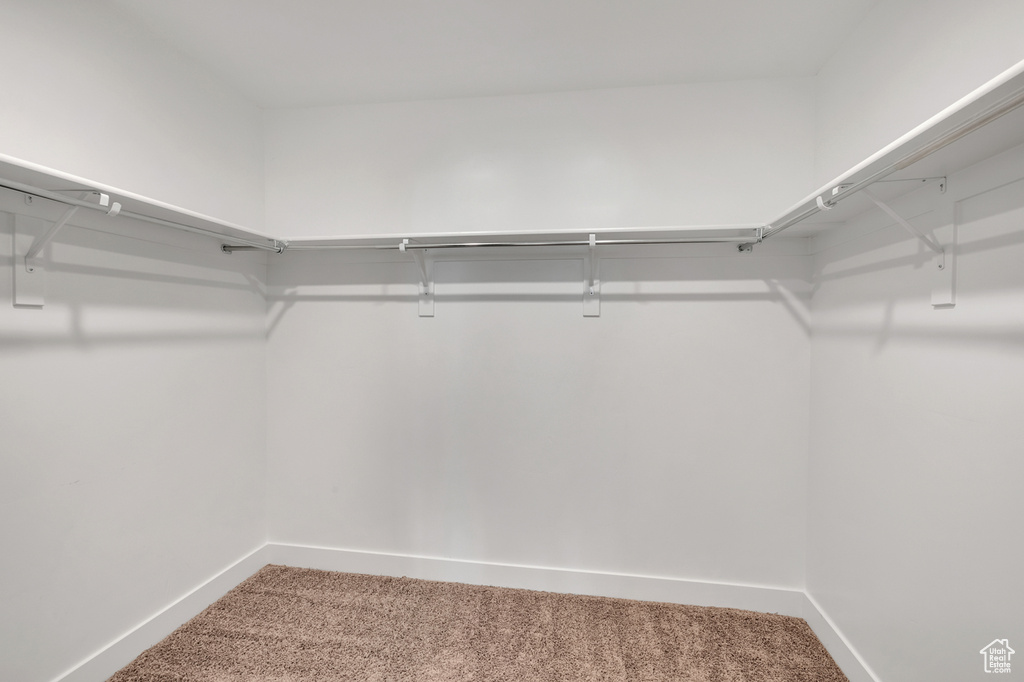 Spacious closet with carpet flooring