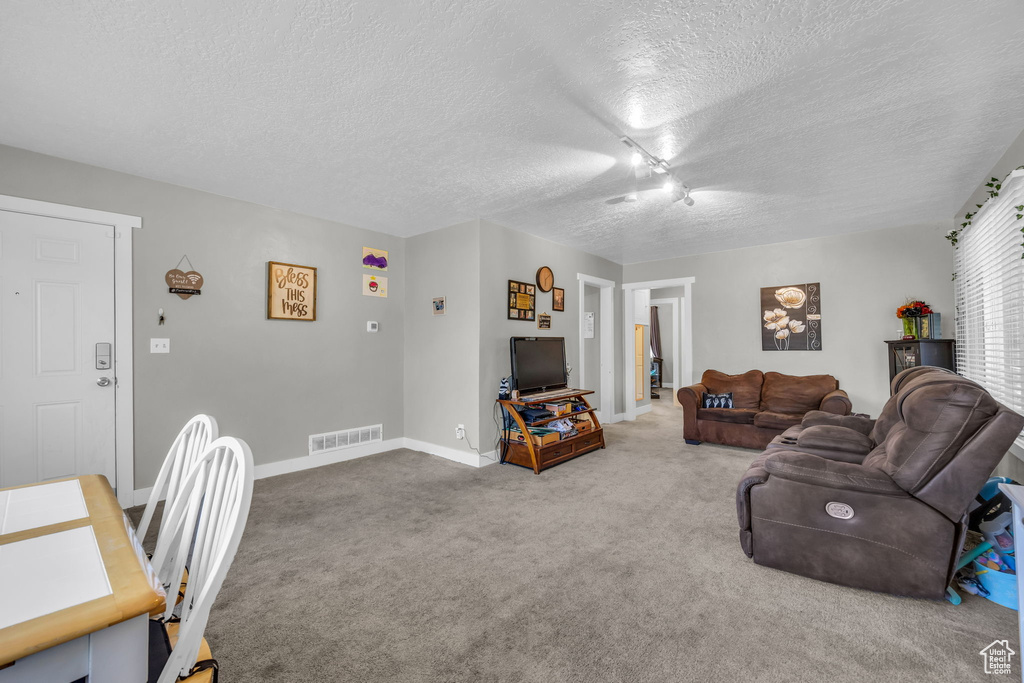 Living room with rail lighting, carpet, and a textured ceiling