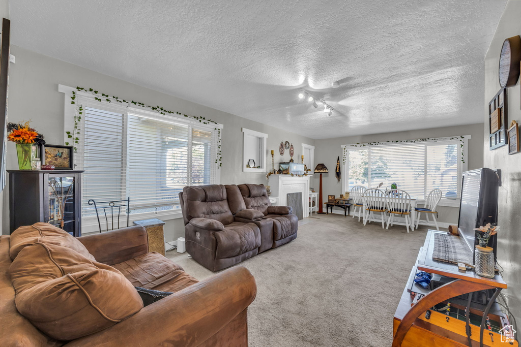 Carpeted living room with a textured ceiling and ceiling fan