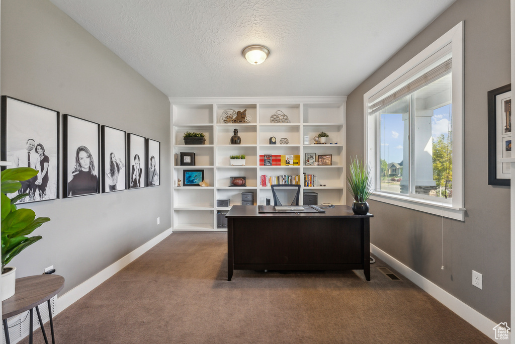 Carpeted office with a textured ceiling