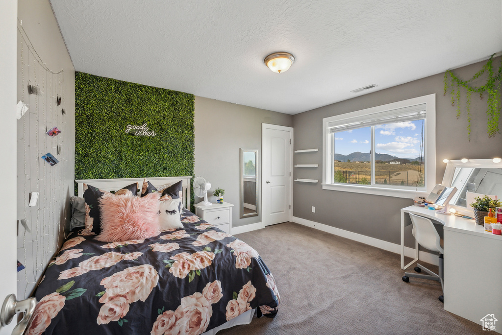 Carpeted bedroom with a textured ceiling