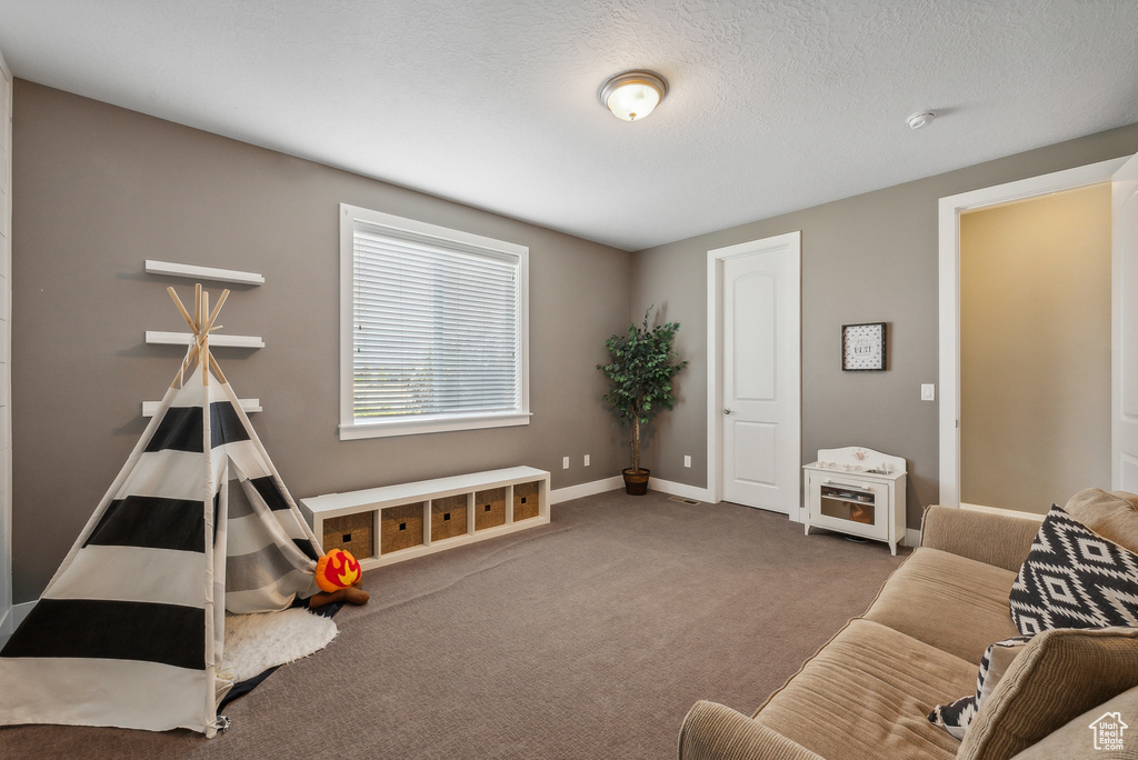 Recreation room with a textured ceiling and carpet floors