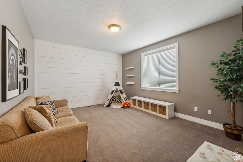 Sitting room with a textured ceiling and carpet