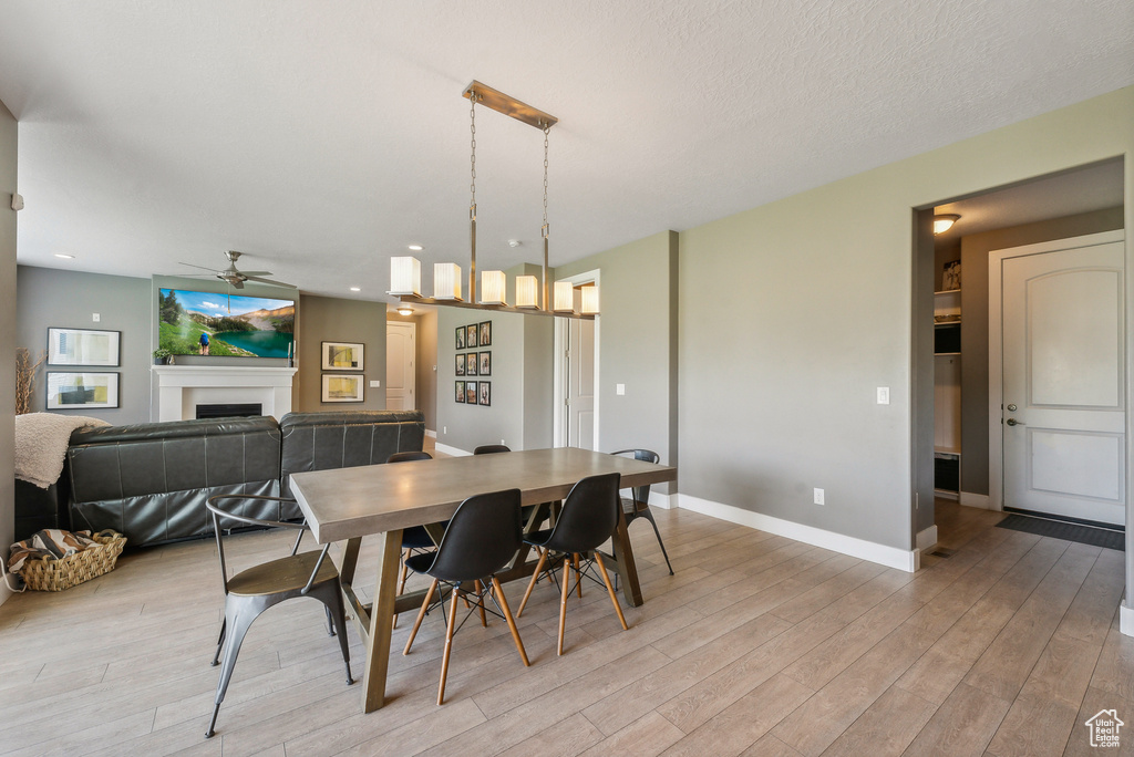 Dining area with a textured ceiling, light hardwood / wood-style flooring, and ceiling fan