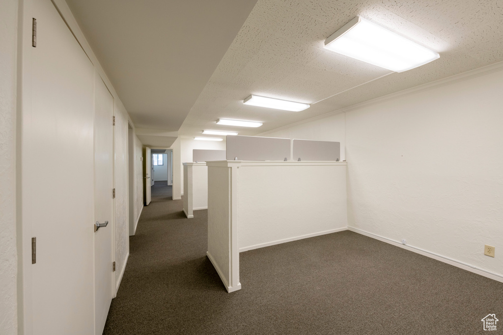 Basement featuring dark carpet