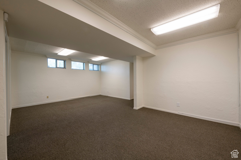 Basement featuring crown molding, a textured ceiling, and dark carpet
