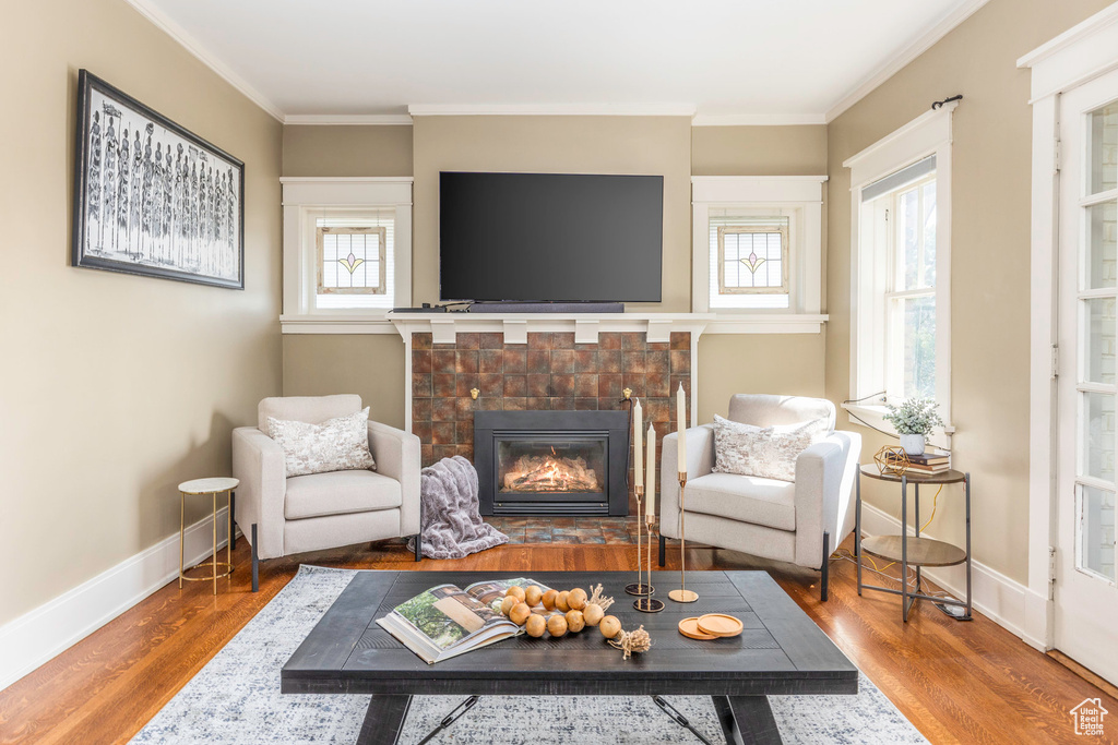 Living room with crown molding, hardwood / wood-style floors, and a wealth of natural light